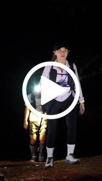 BIB:  <button type="button" onclick="openModal(27565138)" class="btn btn-primary btn-sm float-right" data-toggle="modal" data-target=".modal-high-quality">
                <i class="fa fa-download"></i> Download
                </button>